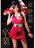 Entertainer Hara Saori SOD graduation